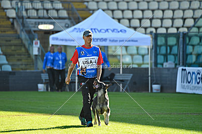 Allie vom Burmeister