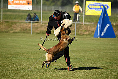 Ally von den Lausbuben