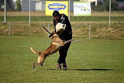 Ally von den Lausbuben