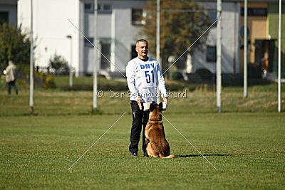 Ally von den Lausbuben