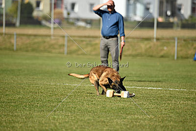 Ally von den Lausbuben