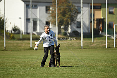Ally von den Lausbuben