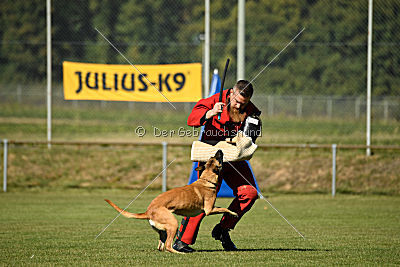 Ally von den Lausbuben