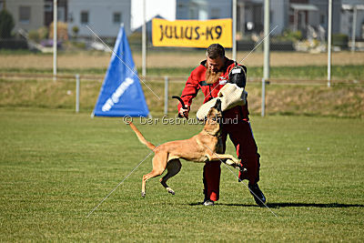 Ally von den Lausbuben