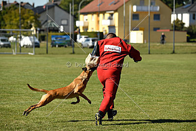 Ally von den Lausbuben