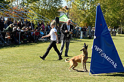 Ally von den Lausbuben