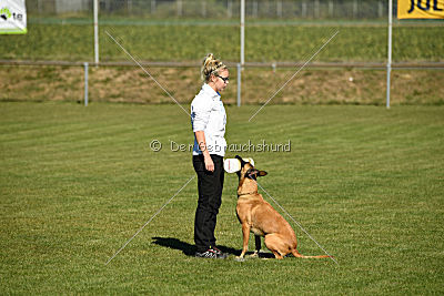 Ally von den Lausbuben