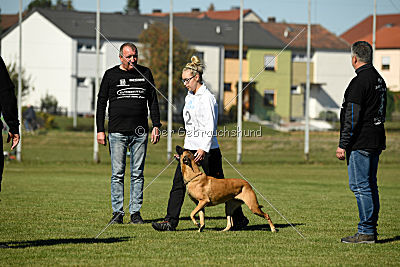 Ally von den Lausbuben