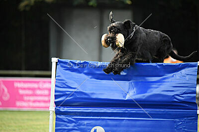 Alma von der Bügnitz