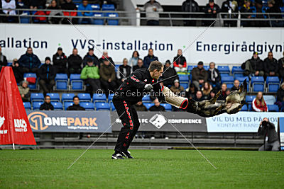 Alyscha Anmireto Moravia