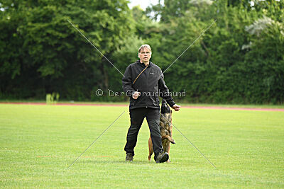 Amadeo vom Blonden Gift