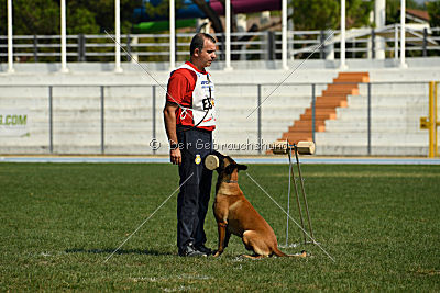 Amarok von Malihattan