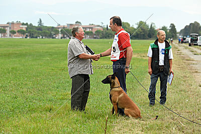 Amarok von Malihattan