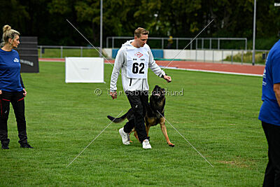 Ambassador von der eisernen Festung