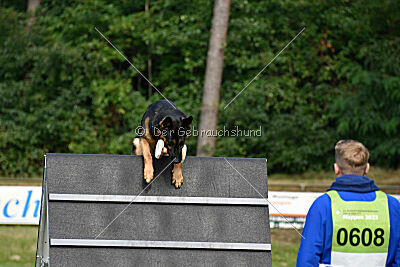 Ambassador von der eisernen Festung