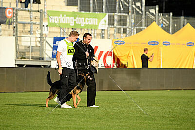 Ambassador von der eisernen Festung