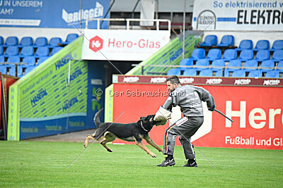 Amboss von der eisernen Festung