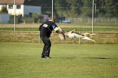 Amy von der schwarzen Mamba