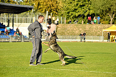 Andra vom Brandkopf