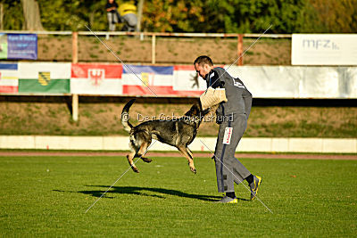 Andra vom Brandkopf