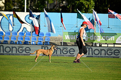 Angry Bird Manlihaus