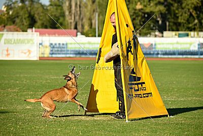 Angry Bird Manlihaus