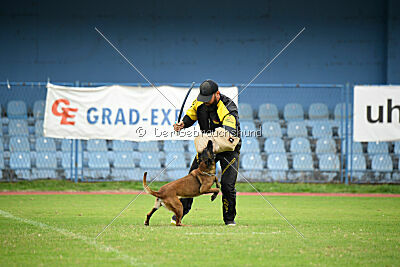 Angry Fox Amidala Padmé