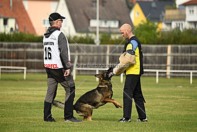 Angry von Starker Wille