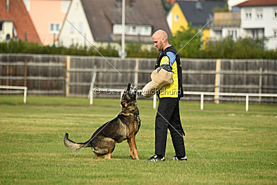 Angry von Starker Wille