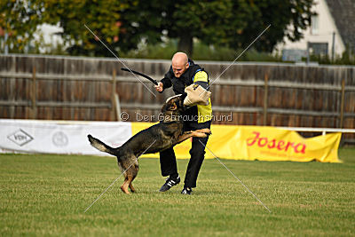 Angry von Starker Wille