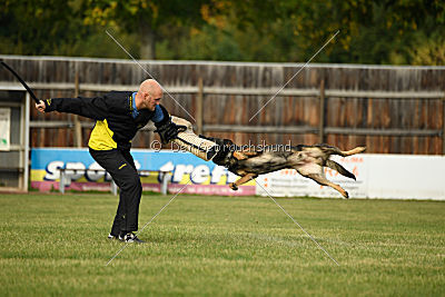 Angry von Starker Wille