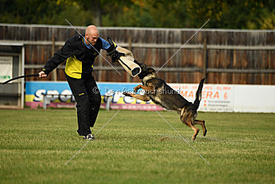 Angry von Starker Wille