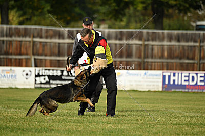 Angry von Starker Wille