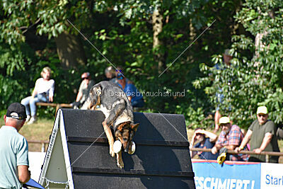 Annie von der lichten Tanne