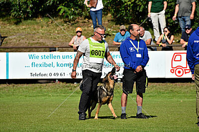 Annie von der lichten Tanne