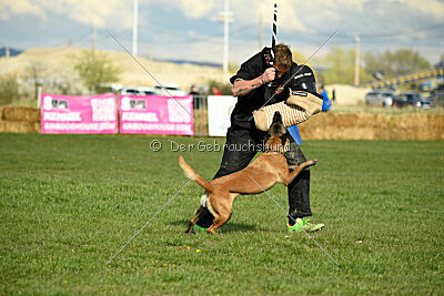 Anouka vom Mittelpunkt