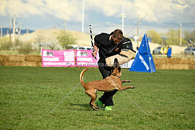 Anouka vom Mittelpunkt