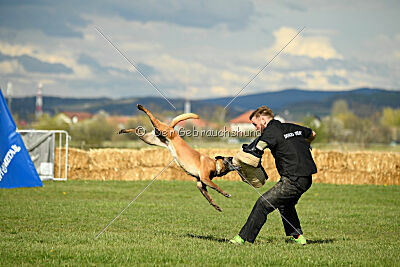 Anouka vom Mittelpunkt