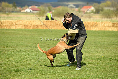 Anouka vom Mittelpunkt