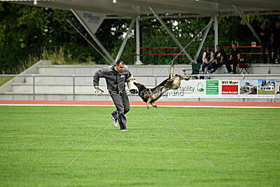 Anton von der lichten Tanne