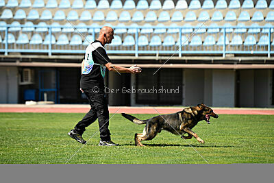 Anton von der lichten Tanne