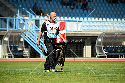 Anton von der lichten Tanne