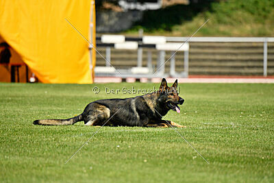 Anton von der lichten Tanne