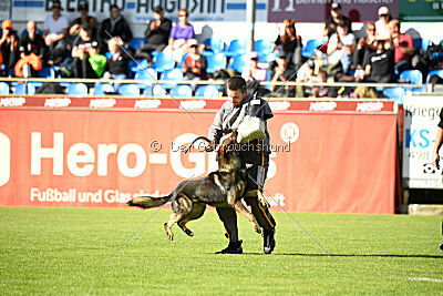 Anton von der lichten Tanne