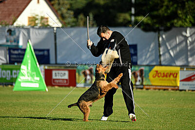 Antrax von Anna Maria