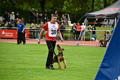 Antrax von Anna Maria