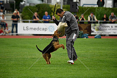 Antrax von Anna Maria