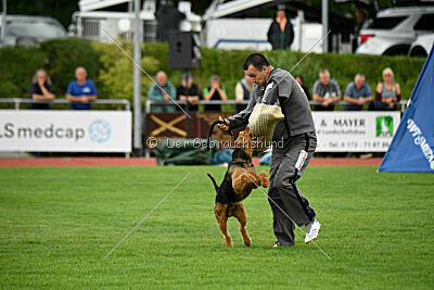 Antrax von Anna Maria