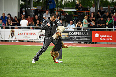 Antrax von Anna Maria