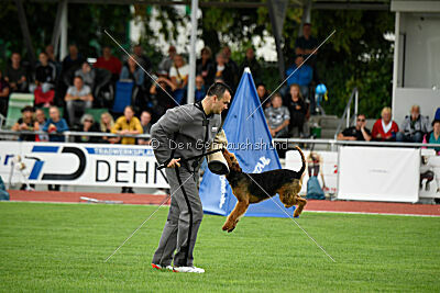 Antrax von Anna Maria